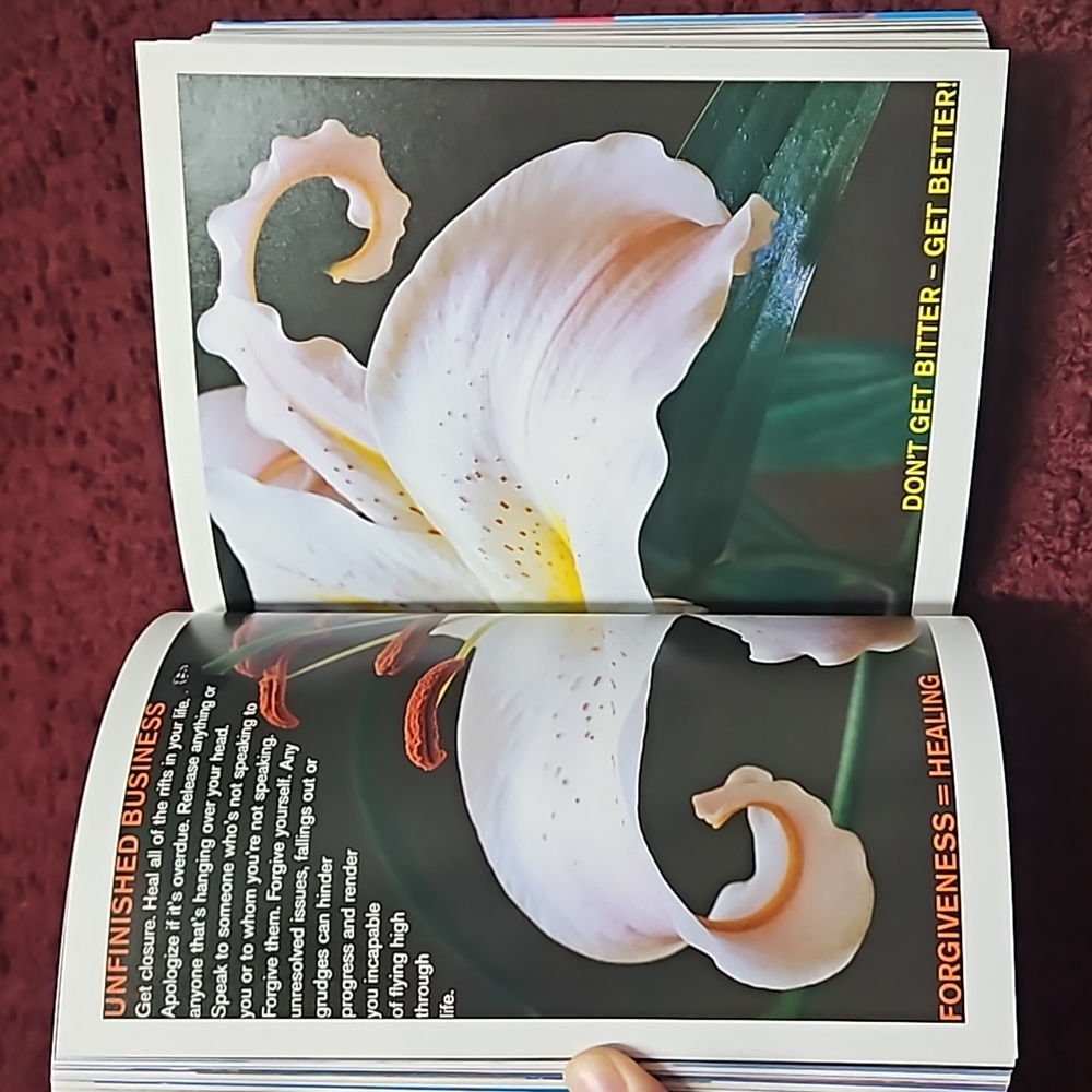 Girlosophy Book - Picture 9 of 13